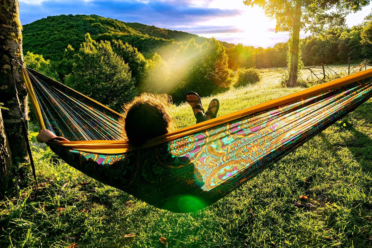 DoubleNest® Hammock Print